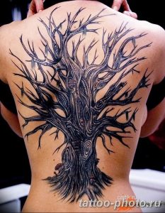 Фото рисунка тату дерево 07.11.2018 №411 - photo tattoo tree - tattoo-photo.ru