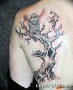Фото рисунка тату дерево 07.11.2018 №413 - photo tattoo tree - tattoo-photo.ru