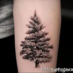 Фото рисунка тату дерево 07.11.2018 №415 - photo tattoo tree - tattoo-photo.ru