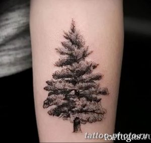 Фото рисунка тату дерево 07.11.2018 №415 - photo tattoo tree - tattoo-photo.ru