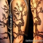 Фото рисунка тату дерево 07.11.2018 №419 - photo tattoo tree - tattoo-photo.ru