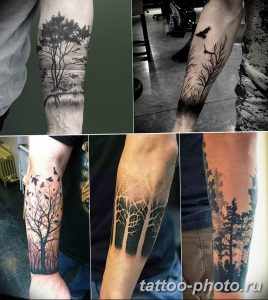 Фото рисунка тату дерево 07.11.2018 №423 - photo tattoo tree - tattoo-photo.ru