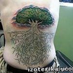 Фото рисунка тату дерево 07.11.2018 №429 - photo tattoo tree - tattoo-photo.ru