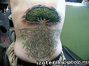 Фото рисунка тату дерево 07.11.2018 №429 - photo tattoo tree - tattoo-photo.ru