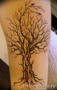 Фото рисунка тату дерево 07.11.2018 №433 - photo tattoo tree - tattoo-photo.ru