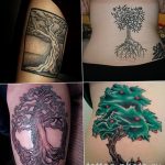 Фото рисунка тату дерево 07.11.2018 №440 - photo tattoo tree - tattoo-photo.ru