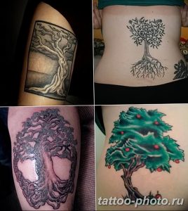 Фото рисунка тату дерево 07.11.2018 №440 - photo tattoo tree - tattoo-photo.ru