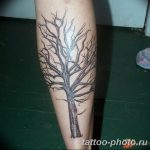 Фото рисунка тату дерево 07.11.2018 №448 - photo tattoo tree - tattoo-photo.ru