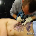 Фото рисунка тату дерево 07.11.2018 №457 - photo tattoo tree - tattoo-photo.ru