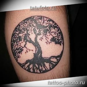 Фото рисунка тату дерево 07.11.2018 №460 - photo tattoo tree - tattoo-photo.ru