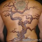 Фото рисунка тату дерево 07.11.2018 №467 - photo tattoo tree - tattoo-photo.ru