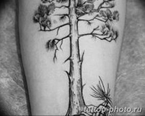 Фото рисунка тату дерево 07.11.2018 №468 - photo tattoo tree - tattoo-photo.ru