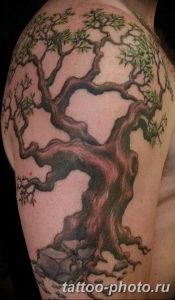 Фото рисунка тату дерево 07.11.2018 №470 - photo tattoo tree - tattoo-photo.ru