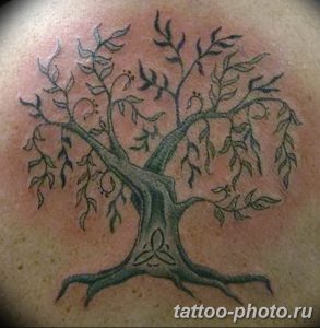 Фото рисунка тату дерево 07.11.2018 №473 - photo tattoo tree - tattoo-photo.ru