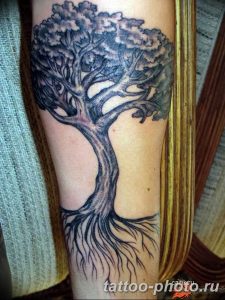 Фото рисунка тату дерево 07.11.2018 №475 - photo tattoo tree - tattoo-photo.ru