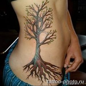 Фото рисунка тату дерево 07.11.2018 №476 - photo tattoo tree - tattoo-photo.ru