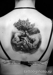 Фото рисунка тату дерево 07.11.2018 №483 - photo tattoo tree - tattoo-photo.ru