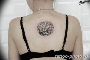 Фото рисунка тату дерево 07.11.2018 №486 - photo tattoo tree - tattoo-photo.ru
