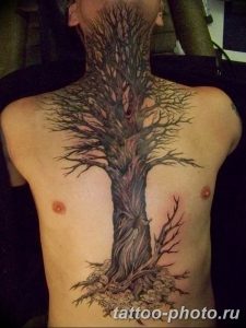 Фото рисунка тату дерево 07.11.2018 №493 - photo tattoo tree - tattoo-photo.ru