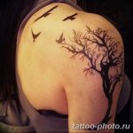 Фото рисунка тату дерево 07.11.2018 №496 - photo tattoo tree - tattoo-photo.ru
