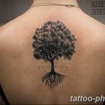 Фото рисунка тату дерево 07.11.2018 №501 - photo tattoo tree - tattoo-photo.ru