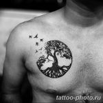 Фото рисунка тату дерево 07.11.2018 №505 - photo tattoo tree - tattoo-photo.ru