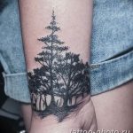 opera01.10.2015 , 22:40:26#treetattoo  Ôîòî è âèäåî íà Instagram  Opera