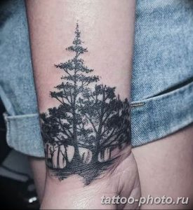 opera01.10.2015 , 22:40:26#treetattoo  Ôîòî è âèäåî íà Instagram  Opera