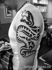 Фото рисунка тату змея 23.11.2018 №003 - snake tattoo photo - tattoo-photo.ru