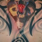 Фото рисунка тату змея 23.11.2018 №007 - snake tattoo photo - tattoo-photo.ru