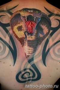 Фото рисунка тату змея 23.11.2018 №007 - snake tattoo photo - tattoo-photo.ru