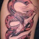 Фото рисунка тату змея 23.11.2018 №008 - snake tattoo photo - tattoo-photo.ru