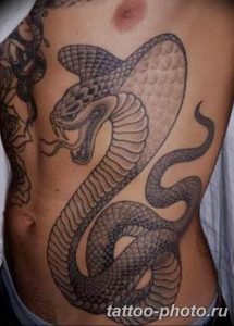 Фото рисунка тату змея 23.11.2018 №011 - snake tattoo photo - tattoo-photo.ru
