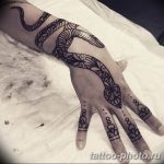 Фото рисунка тату змея 23.11.2018 №013 - snake tattoo photo - tattoo-photo.ru