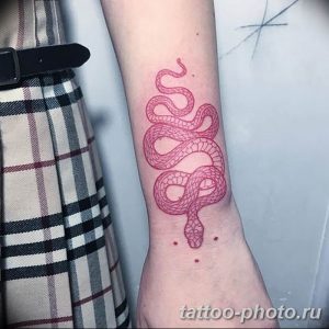 Фото рисунка тату змея 23.11.2018 №019 - snake tattoo photo - tattoo-photo.ru