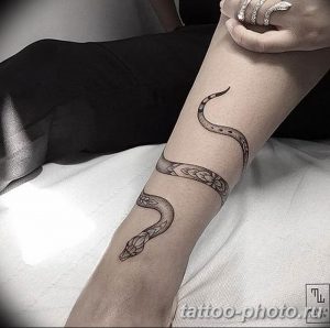 Фото рисунка тату змея 23.11.2018 №023 - snake tattoo photo - tattoo-photo.ru