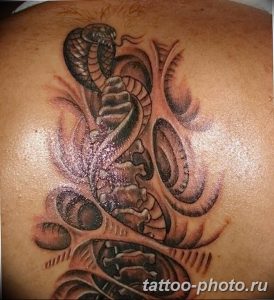 Фото рисунка тату змея 23.11.2018 №025 - snake tattoo photo - tattoo-photo.ru