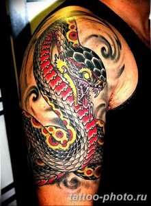 Фото рисунка тату змея 23.11.2018 №030 - snake tattoo photo - tattoo-photo.ru