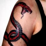 Фото рисунка тату змея 23.11.2018 №031 - snake tattoo photo - tattoo-photo.ru