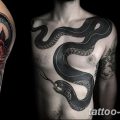 Фото рисунка тату змея 23.11.2018 №033 - snake tattoo photo - tattoo-photo.ru