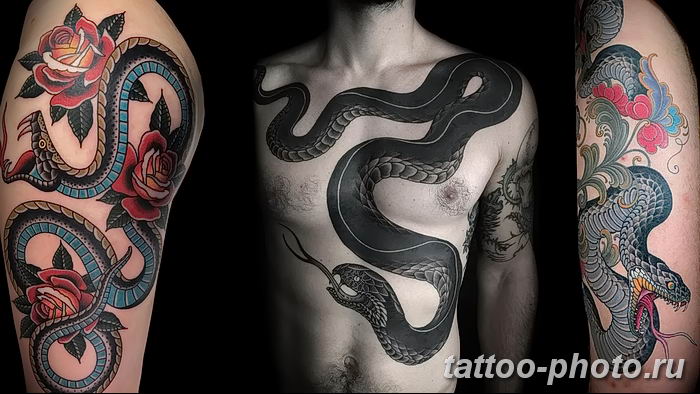 Фото рисунка тату змея 23.11.2018 №033 - snake tattoo photo - tattoo-photo.ru