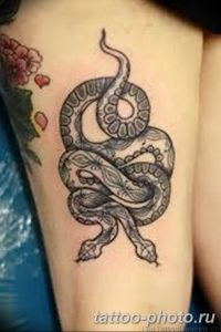 Фото рисунка тату змея 23.11.2018 №034 - snake tattoo photo - tattoo-photo.ru