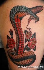 Фото рисунка тату змея 23.11.2018 №035 - snake tattoo photo - tattoo-photo.ru