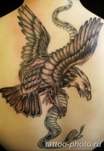 Фото рисунка тату змея 23.11.2018 №039 - snake tattoo photo - tattoo-photo.ru