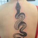Фото рисунка тату змея 23.11.2018 №041 - snake tattoo photo - tattoo-photo.ru