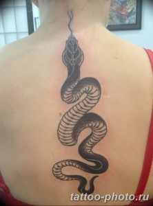 Фото рисунка тату змея 23.11.2018 №041 - snake tattoo photo - tattoo-photo.ru