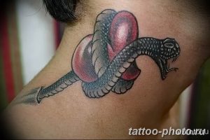 Фото рисунка тату змея 23.11.2018 №044 - snake tattoo photo - tattoo-photo.ru