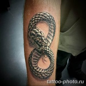 Фото рисунка тату змея 23.11.2018 №046 - snake tattoo photo - tattoo-photo.ru
