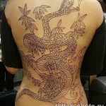 Фото рисунка тату змея 23.11.2018 №047 - snake tattoo photo - tattoo-photo.ru