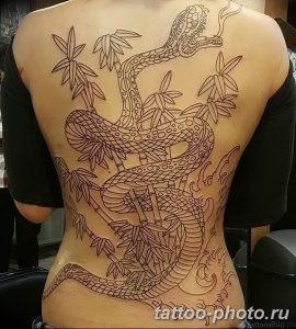 Фото рисунка тату змея 23.11.2018 №047 - snake tattoo photo - tattoo-photo.ru